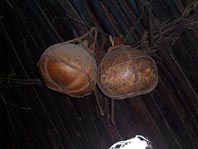 Bio-degradable containers